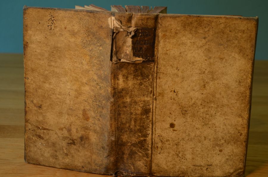 Warhaffte und gründliche Cur Aller dem Menschlichen Leibe zustossenden Kranckheiten, Nach der Vernünfftigen und unverrückten Methode der Natur, samt einem Physico-moralischen Vorbericht von dem Menschlichen Leibe, und der darinn würckenden Seele, entworfen, und mit vielen Medicamentia specificis versehen ...