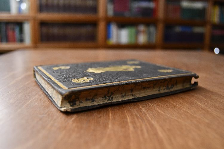 Gesammelte Werke in fünf Bänden Bd. 1 (apart).