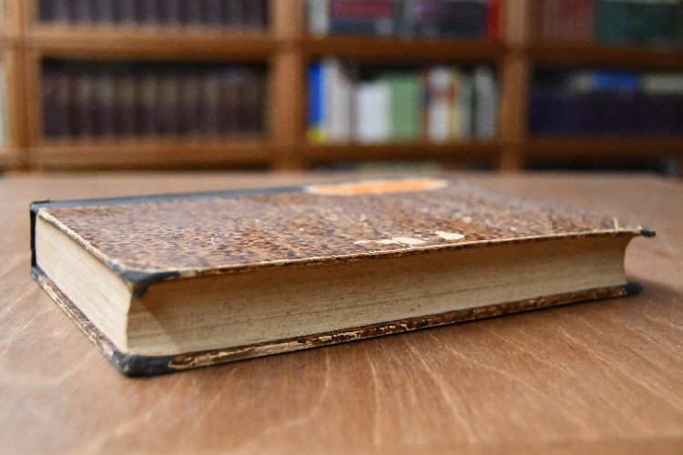 Freie Vorträge. Zweite Sammlung.