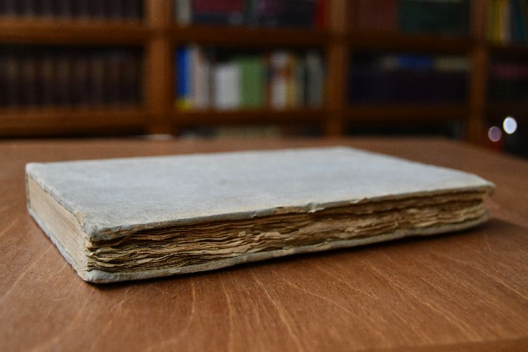 Neue Bibliothek der schönen Wissenschaften und der freyen Künste. 24. Band erstes Stück (apart)