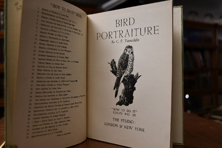 Bird Portraiture.