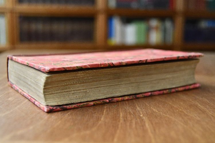 La Litterature Francaise au dix-septieme siecle.