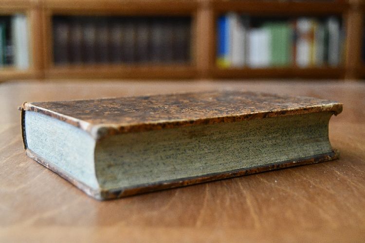 Taschenbuch der Flora Deutschlands nach dem Linneischen Systeme geordnet.