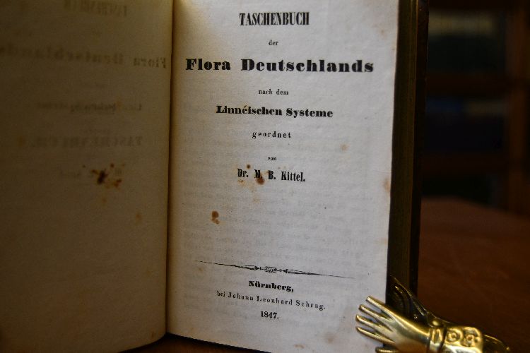 Taschenbuch der Flora Deutschlands nach dem Linneischen Systeme geordnet.