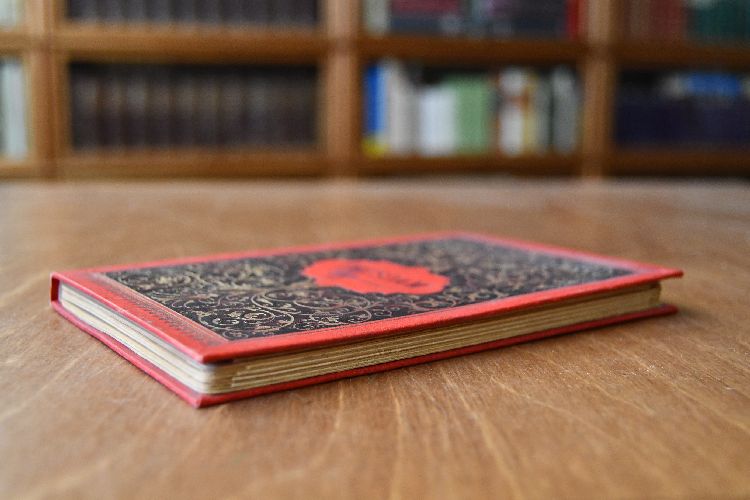 Potsdam. Leporello mit 12 Bildern.