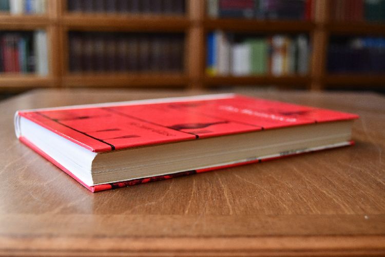 Das Weinbuch. Werden des Weins von der Rebe bis zum Glase.