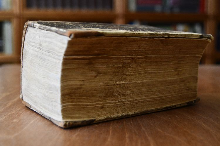Sechzig erbauliche Reden über die Offenbarung Johannis oder vielmehr Jesu Christi, samt einer Nachrede gleichen Inhaltes Beedes also zusammengeflochten, daß es entweder als ein zweyter Theil der Erklärten Offenbarung oder für sich als ein Bekräftigtes Zeugniß der Wahrheit anzusehen ist.