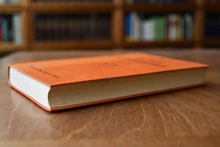Die Praxis der Geflügelwirtschaft. Ein Arbeitsbuch nach amerikanischem Vorbild.