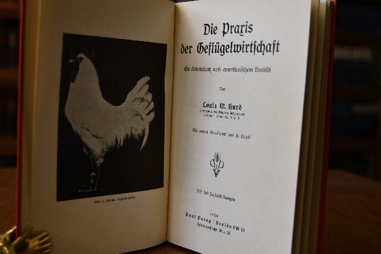 Die Praxis der Geflügelwirtschaft. Ein Arbeitsbuch nach amerikanischem Vorbild.