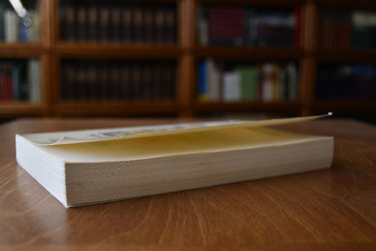 La justice revolutionnaire. Chronique de la Terreur.