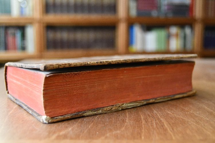 Sämmtliche Predigten, und geistlichen Reden welche vor dem Könige Ludwig dem Vierzehnten gehalten worden. Aus dem Französischen übersetzt. Dreyzehenter Theil welcher die Ermahnungen enthält (apart)