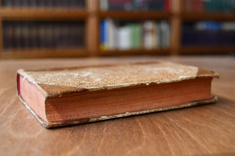 Rechtfertigungsschrift der Gräfinn von Valois de la Motte. Von ihr selbst aufgesetzt.