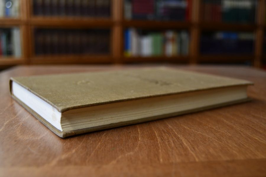 Voltaire. Eine Charakteranalyse, in Verbindung mit Studien zur Ästhetik, Moral und Politik.