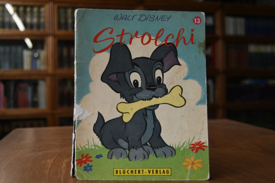 Strolchi.