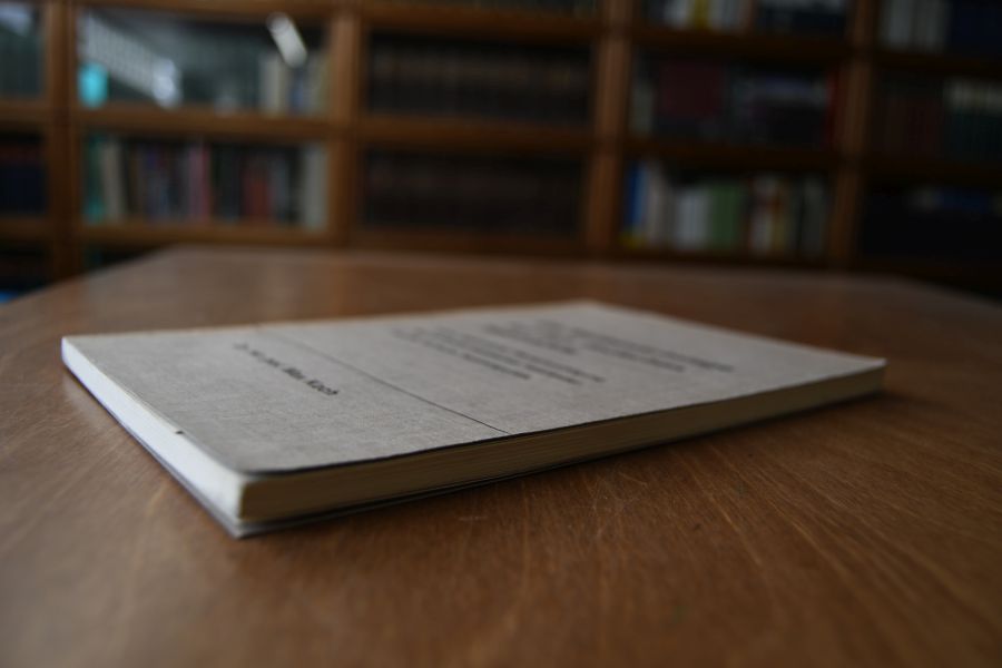 Die Wettbewerbslage auf dem deutschen Holzmarkte unter besonderer Berücksichtigung der nordosteuropäischen Holzländer und die deutsche Handelspolitik.