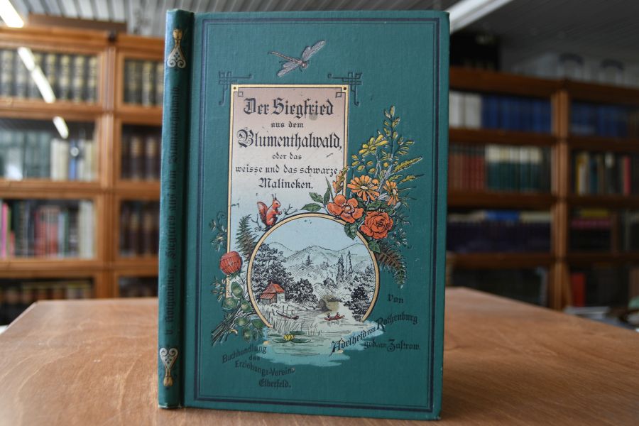 Der Siegfried aus dem Blumenthalwald oder das weiße und das schwarze Malineken. Eine Erzählung für Jung und Alt.