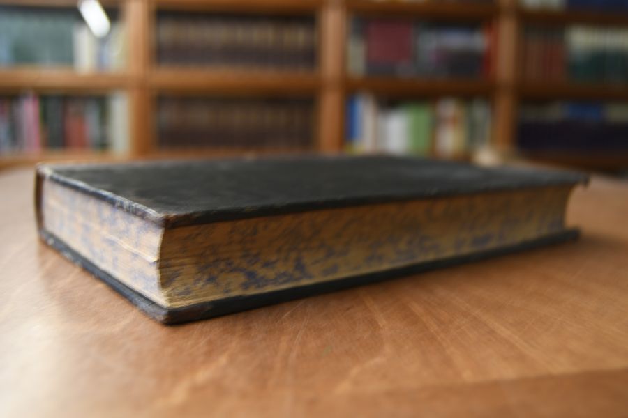 Die Lehre von den Wirkungen des galvanischen Stromes in die Ferne.