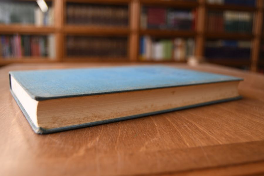 Der Staat. Seine geistigen Grundlagen, seine Entstehung und Entwicklung.