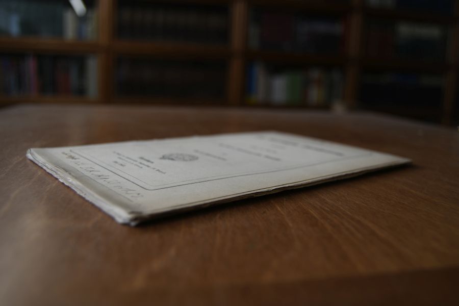 Das schleswigsche Sprachrescript vertheidigt wider die Angriffe des Herrn Conferenzraths Raaslöff.