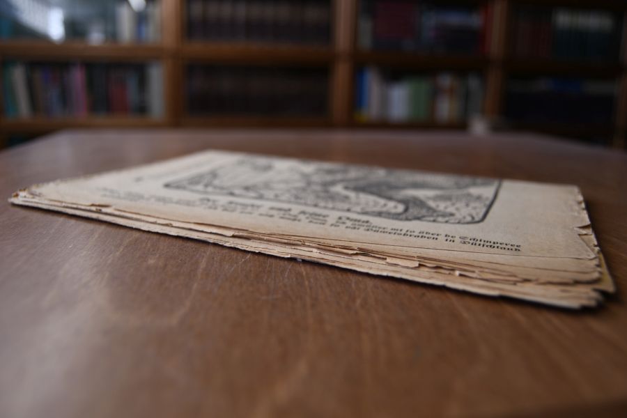 Der Oldenburger Residenz-Bote. Kritisch-satyrisches, politisches und unterhaltendes Wochenblatt mit Illustrationen. Nr. 1011 (20. Jahrgang) und Nr. 1082 (24. Jahrgang).