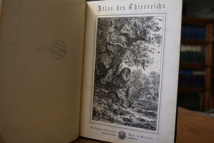 Atlas des Thierreichs.