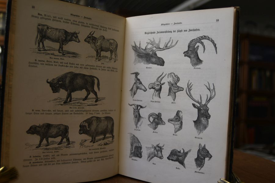 Atlas des Thierreichs.