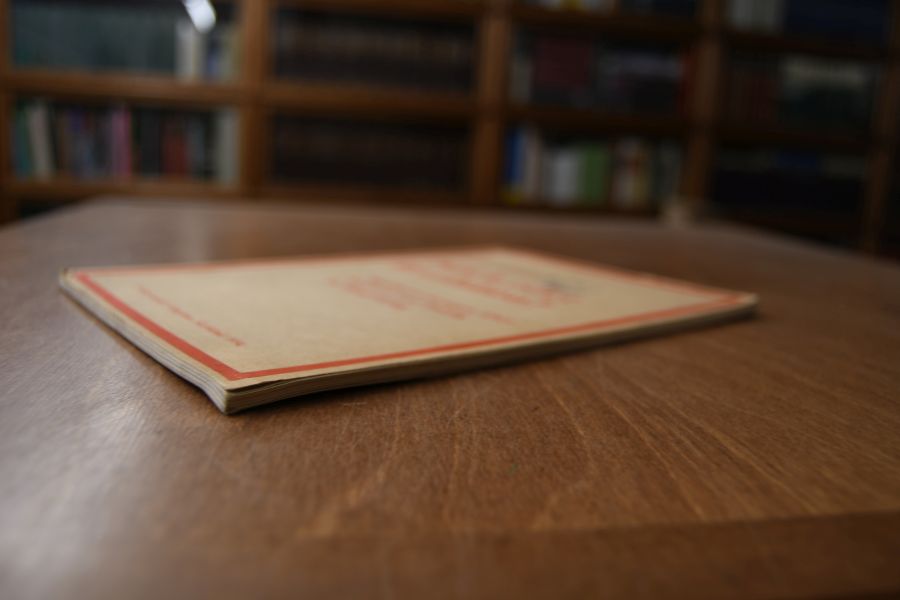 Putsch oder Revolution? Randbemerkungen über Strategie und Taktik im Bürgerkrieg.
