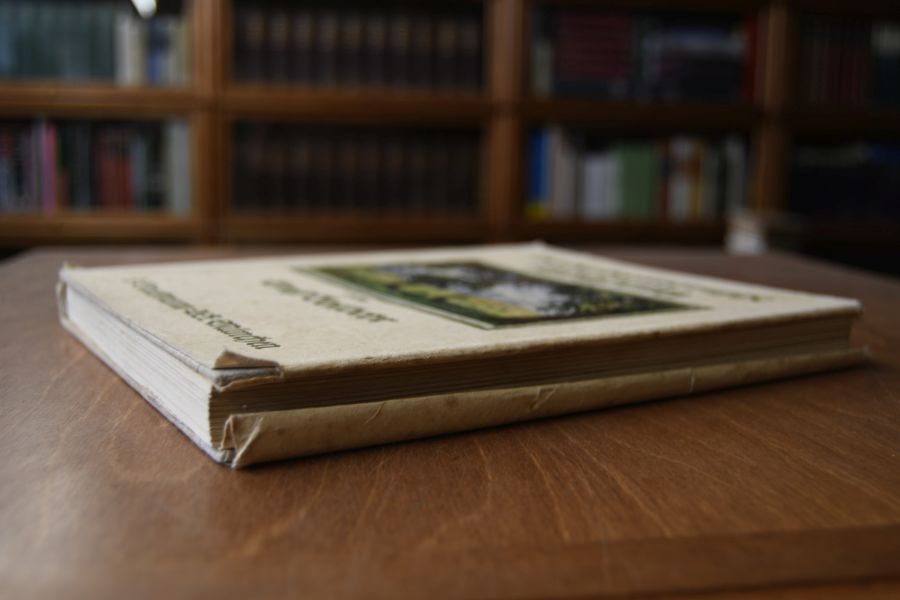 Bei der Heeresgruppe Kronprinz. Zweites Kriegsbilder-Tagebuch.