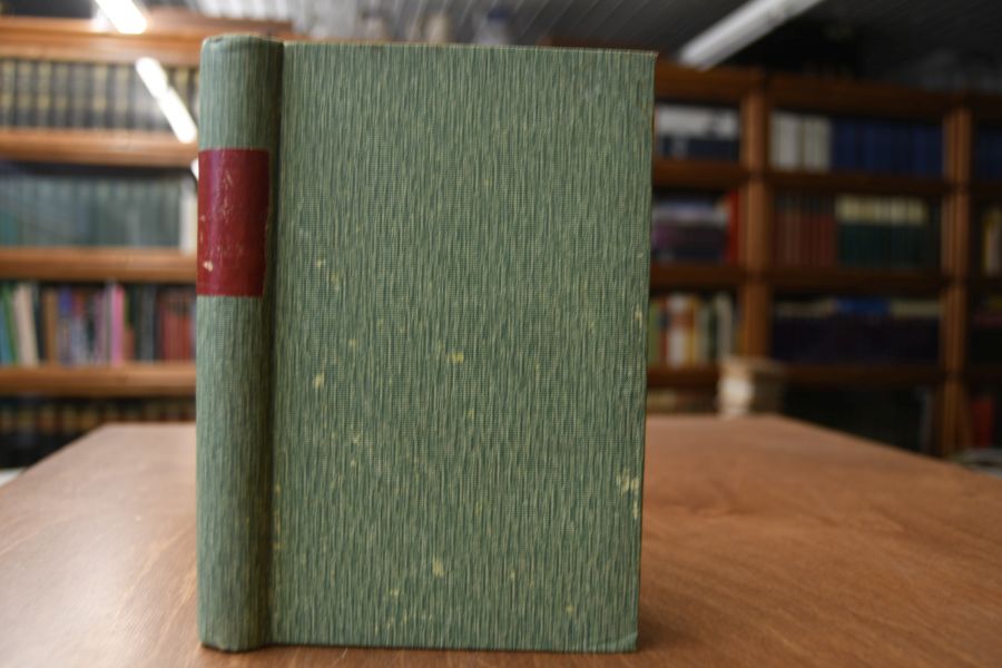 Die Menschenwelle (Sturmflut). Roman eines russischen Barrikadenkämpfers.
