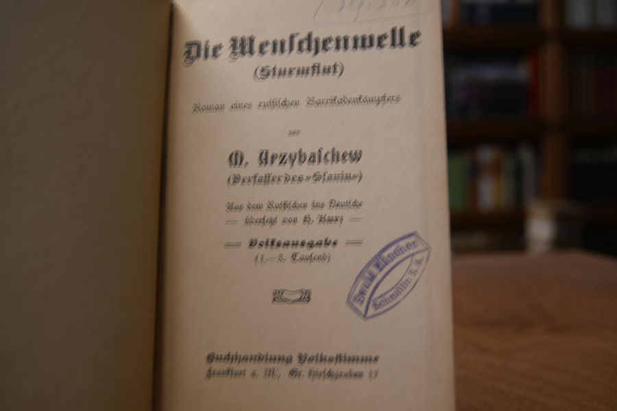 Die Menschenwelle (Sturmflut). Roman eines russischen Barrikadenkämpfers.