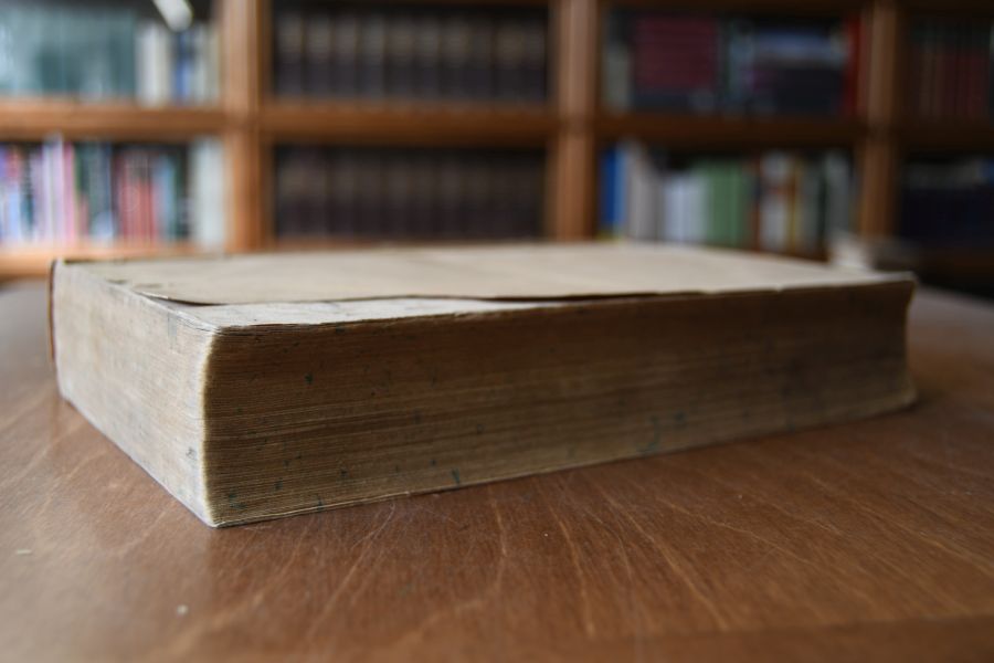 Hebräisches und chaldäisches Handwörterbuch über das Alte Testament. 2 Teile in 1 Bd.
