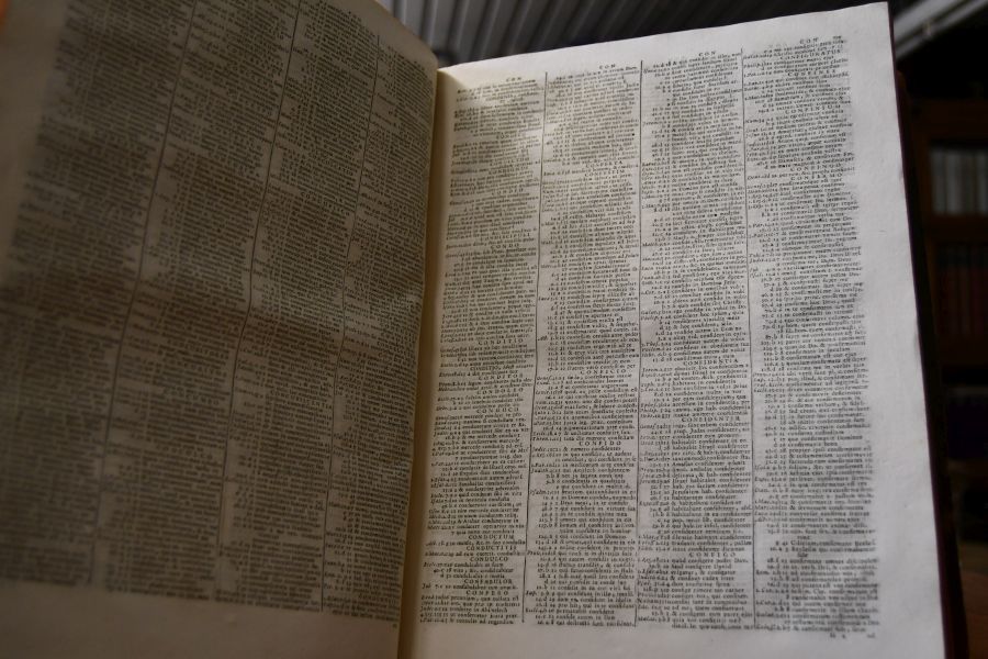 Sacrorum Bibliorum vulgatae editionis Concordantiae Hugonis Cardinalis ordinis praedicatorum, ad recognitionem jussu Sixti V Pont.Max. Bibliis adhibitam recensitae, atque emendatae Primum a Francisco Luca & Huberti Phalesii.