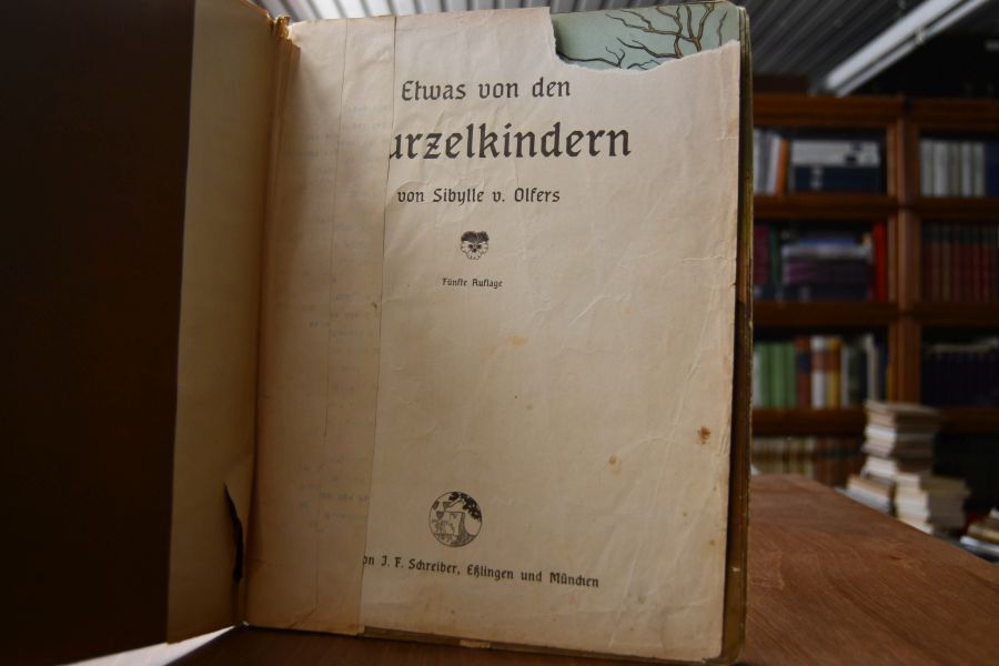 Etwas von den Wurzelkindern.