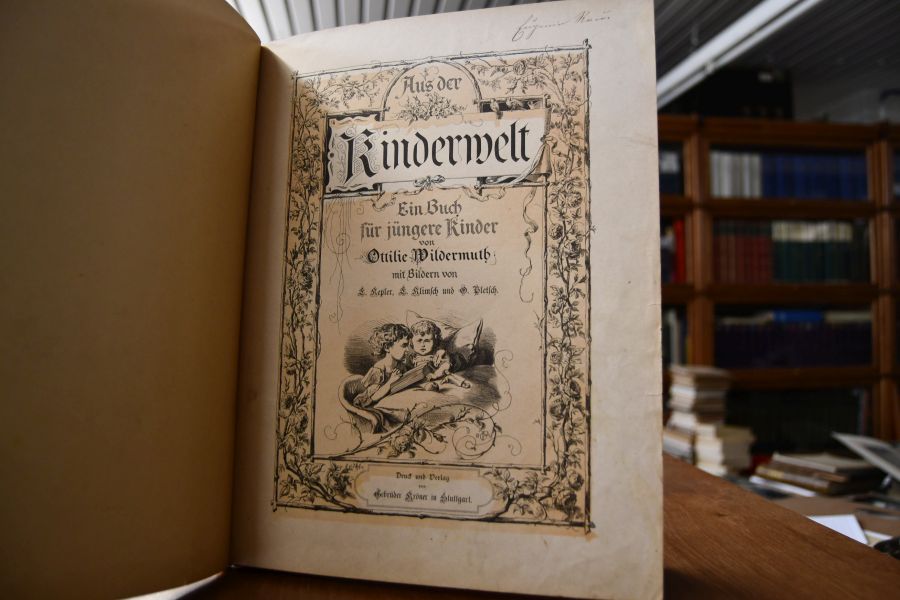 Aus der Kinderwelt. Ein Buch für jüngere Kinder.