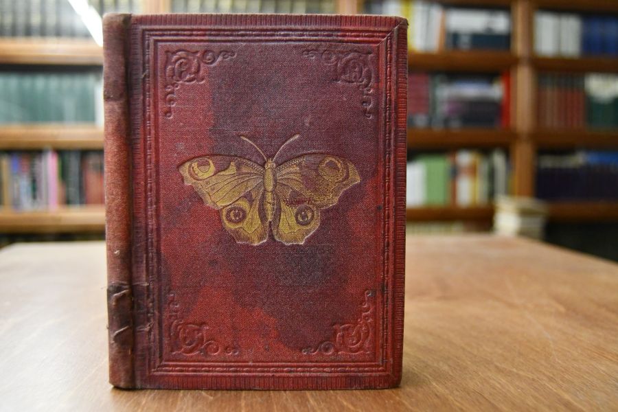 Die Schmetterlinge. Eine Anleitung zur Kenntniß der Schmetterlinge und Raupen, welche in Deutschland vorkommen, nebst einer Anweisung Schmetterlings- und Raupensammlungen zweckmäßig anzulegen.
