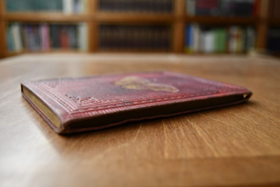 Die Schmetterlinge. Eine Anleitung zur Kenntniß der Schmetterlinge und Raupen, welche in Deutschland vorkommen, nebst einer Anweisung Schmetterlings- und Raupensammlungen zweckmäßig anzulegen.