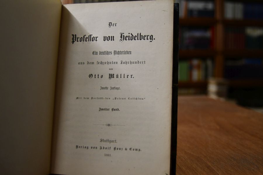 Der Professor von Heidelberg. Ein deutsches Dichterleben aus dem sechzehnten Jahrhundert. 2. Bd. (apart).