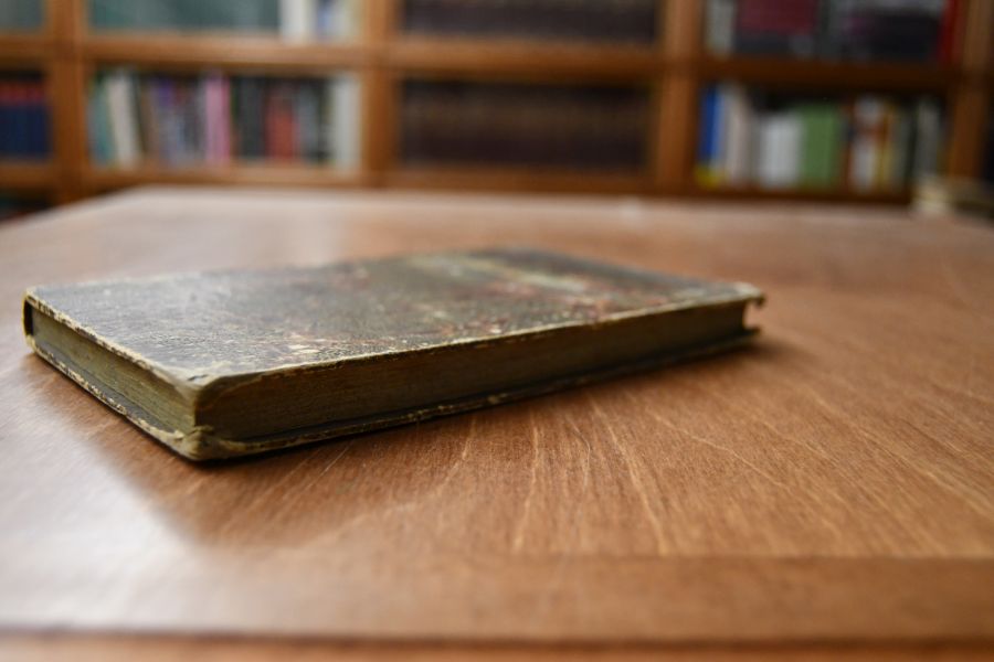 Denkwürdigkeiten aus dem letzten Decenium des achtzehnten Jahrhunderts.