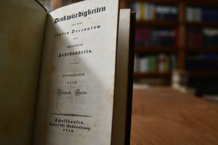 Denkwürdigkeiten aus dem letzten Decenium des achtzehnten Jahrhunderts.