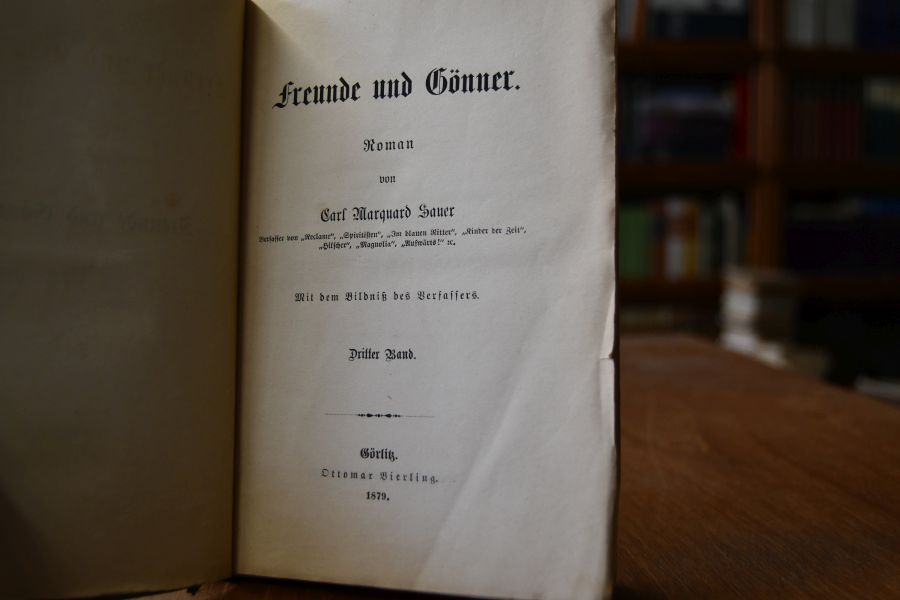 Freunde und Gönner. Roman 3. Band von 3 (apart).