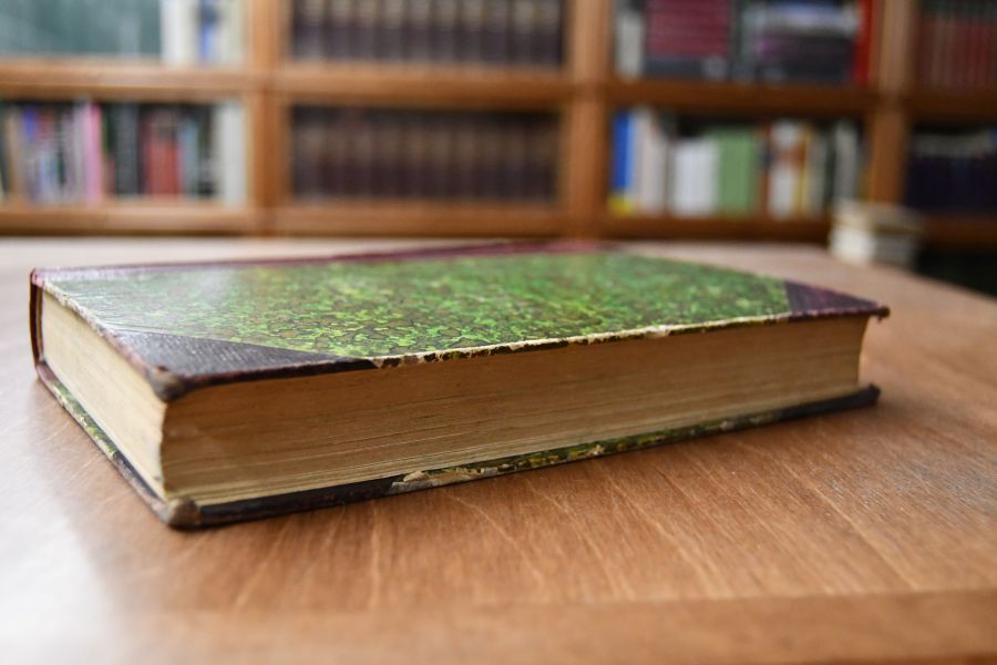 Irland. Seine politische Knechtung und sein Streben nach Selbstregierung.