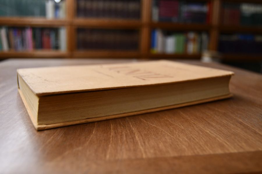 Die deutsche Justiz. Grundzüge einer durchgreifenden Reform.
