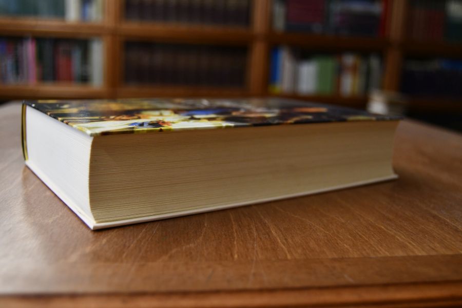Ludwig XIV. Die Biographie.