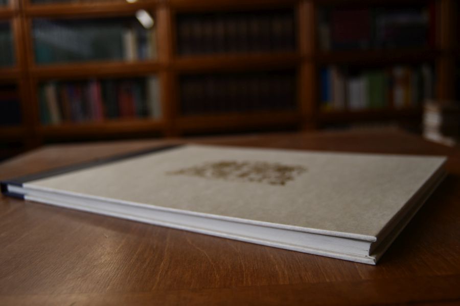 Prospecte aller Ortschaften der Gefürsteten, von Thurn und Taxischen Grafschaft Friedberg Scheer, nach der Natur gezeichnet, und seiner Hochfürstlichen Durchlaucht, dem Gnädigsten Erbprinzen Carl Alexander des Hl-Röm. Reichsfürsten von Thurn und Taxis unterthänigst gewiedmet, von Georg Raifel.