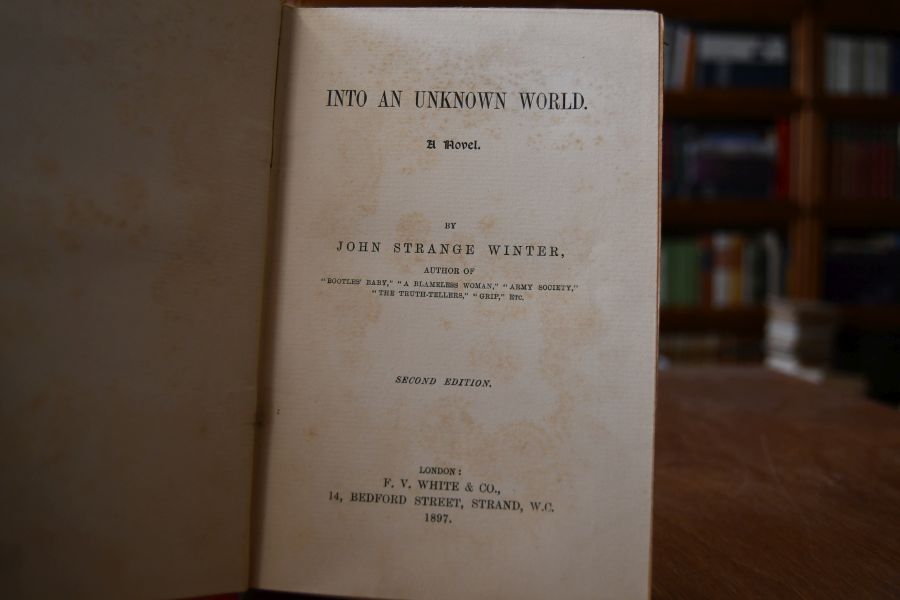 Into an unknown world. A novel.