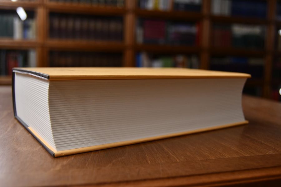 Martin Luthers Reformation und das Recht. Ddie Entwicklung der Theologie Luthers und ihre Auswirkung auf das Recht unter den Rahmenbedingungen der Reichsreform und der Territorialstaatsbildung im Kampf mit Rom und den "Schwärmern".