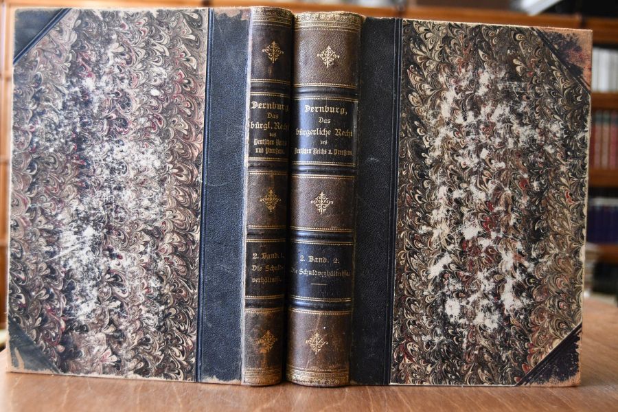 Das bürgerliche Recht des Deutschen Reichs und Preußens. 2. Band erste und zweite Abtteilung Die Schuldverhältniss nach dem Recht des Deutschen Reichs und Preußens Erste Abteilung Allgemeine Lehren, Zweite Abteilung Einzelne Obligationen (apart).
