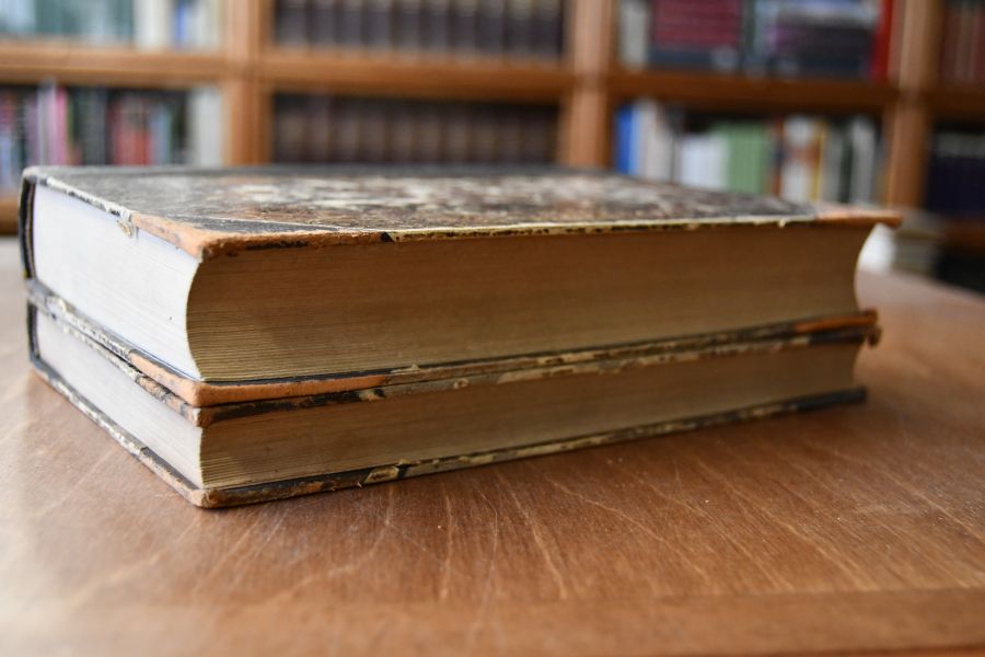 Das bürgerliche Recht des Deutschen Reichs und Preußens. 2. Band erste und zweite Abtteilung Die Schuldverhältniss nach dem Recht des Deutschen Reichs und Preußens Erste Abteilung Allgemeine Lehren, Zweite Abteilung Einzelne Obligationen (apart).