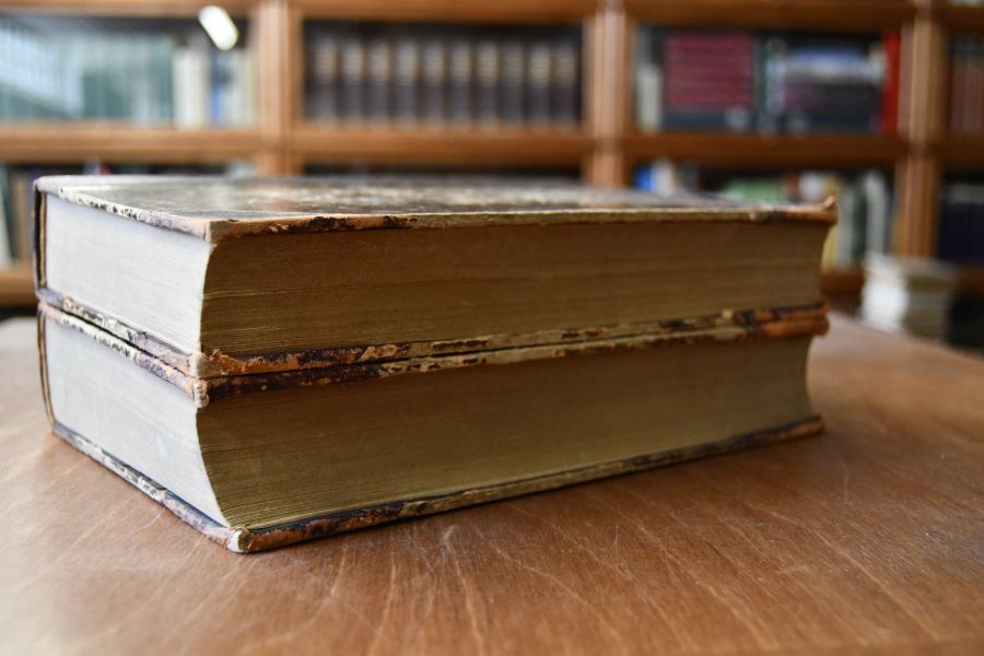 Die Civilprozeßordnung für das Deutsche Reich nebst den auf den Civilprozeß bezüglichen Bestimmungen des Gerichtsverfassungsgesetzes und den Einführungsgesetzen. 2 Bde. (komplett).