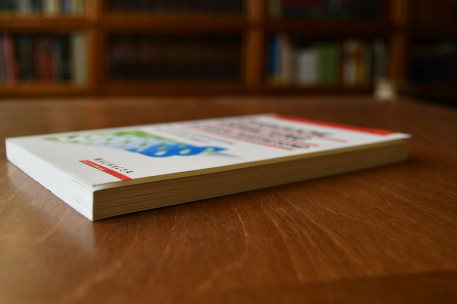 Öffentliche Verwaltung im neuen Jahrtausend. Verwaltungsmodernisierung. Dienstrecht der Zukunft.